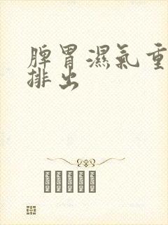 脾胃湿气重怎样排出