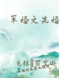 军婚文先婚后爱