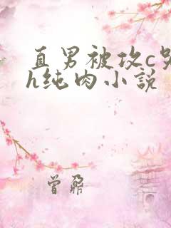 直男被攻c哭高h纯肉小说