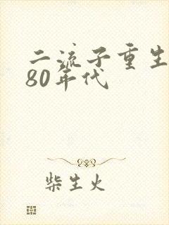 二流子重生回到80年代