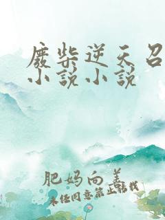 废柴逆天召唤师小说小说
