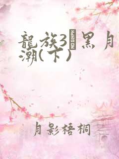 龙族3·黑月之潮(下)