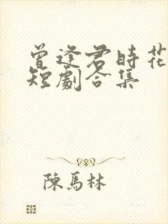 曾逢君时花照眼短剧合集