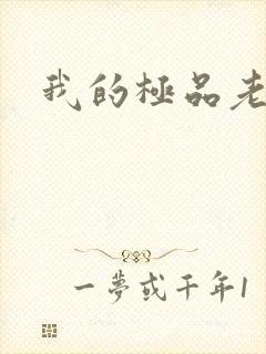 我的极品老婆们