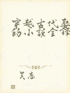 穿越古代娶媳妇的小说金锋