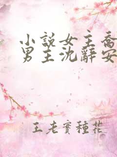 小说女主乔若兮男主沈辞安