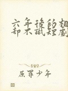 六年后的相遇你却不识短剧免费观看