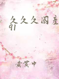 久久久国产精品91