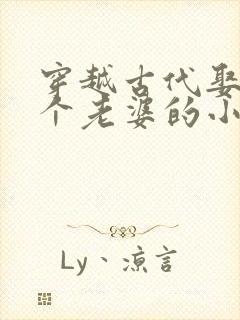 穿越古代娶了八个老婆的小说推荐