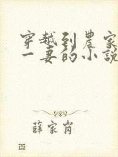 穿越到农家五夫一妻的小说