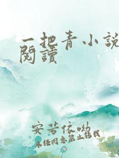 一把青小说在线阅读