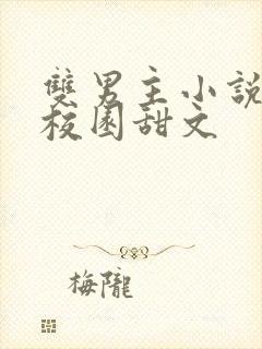 双男主小说推荐校园甜文