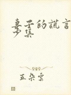 妻子的谎言有多少集