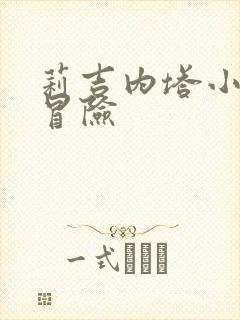 莉吉内塔小姐的冒险