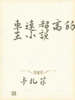 车速超高的双男主小说