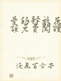 爱的释放原著小说免费阅读