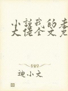 小说我的老公是大佬全文免费阅读