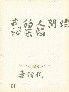 我的人间烟火许沁宋焰