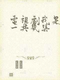 电视剧我是刑警一共几集