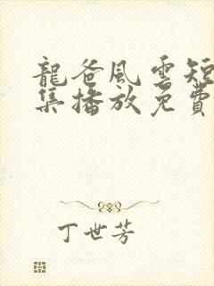 龙爸风云短剧全集播放免费观看高清