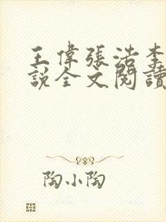 王伟张浩李倩小说全文阅读下载