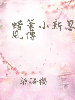 蜡笔小新忍者疾风传