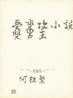 受变攻小说推荐双男主