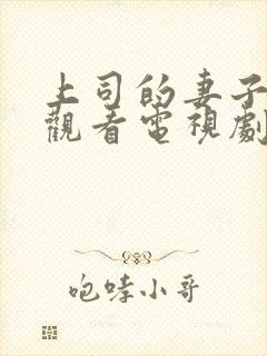 上司的妻子免费观看电视剧