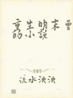 重生明末曹文诏的小说