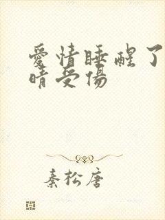 爱情睡醒了沐之晴受伤