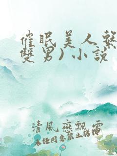 催眠美人系统(双男) 小说