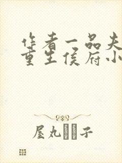 作者一品夫人:重生侯府小丫鬟小说