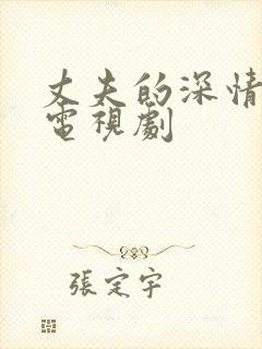 丈夫的深情谎言电视剧