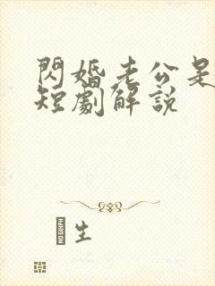 闪婚老公是总裁短剧解说