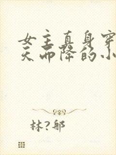 女主真身穿越从天而降的小说