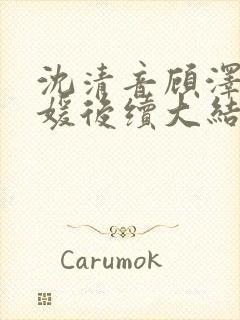 沈清音顾泽程媛媛后续大结局