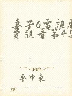 妻子6电视剧免费观看第4集