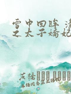 雪中回眸 清穿之太子娇妃