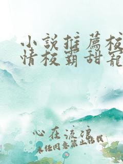 小说推荐校园言情校霸甜宠