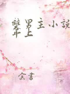 双男主小说推荐年上