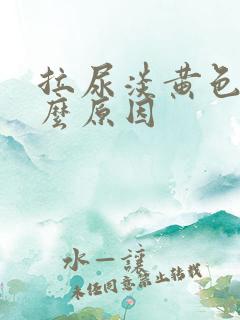 拉尿淡黄色是什么原因