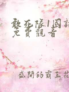 敢死队1国语版免费观看