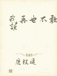 我再也不敢了小说