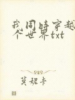 我同时穿越了四个世界txt