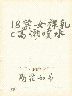 18禁女裸乳被c高潮喷水