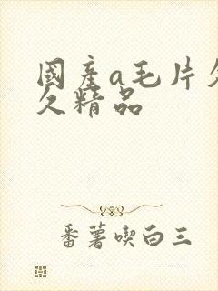 国产a毛片久久久精品