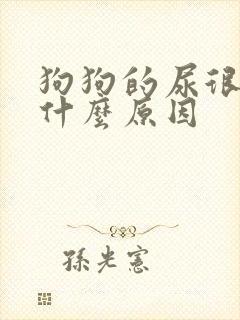 狗狗的尿很黄是什么原因