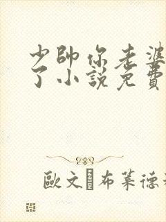 少帅你老婆又跑了小说免费读