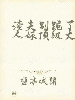 渣夫别跪了,夫人嫁顶级大佬显怀啦 小说