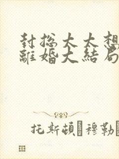 封总太太想跟您离婚大结局